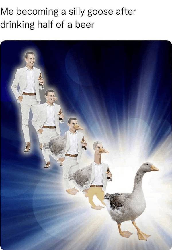 beerafull memes for everyone 35 pics 16.html - 35 HD Photos | Premium Gallery 2025