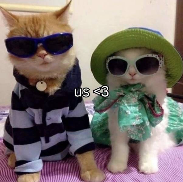 Flirty Memes To Send Your Better Half