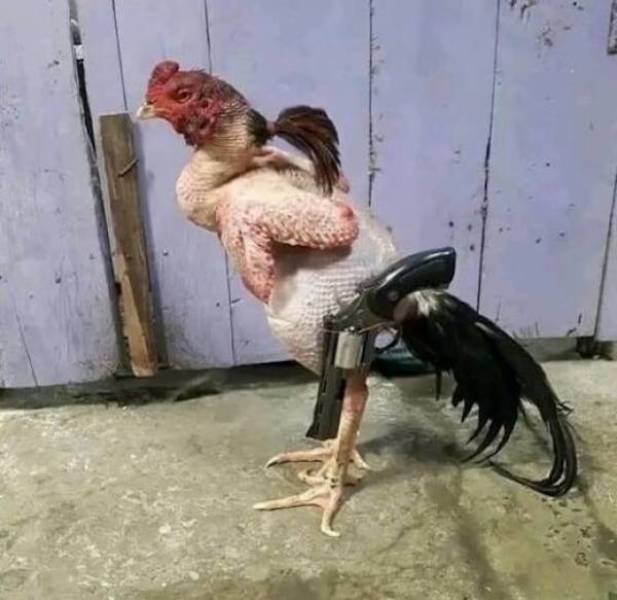 dirty minds are welcome 36 pics 9.html - 36 HD Photos | Premium Gallery 2025