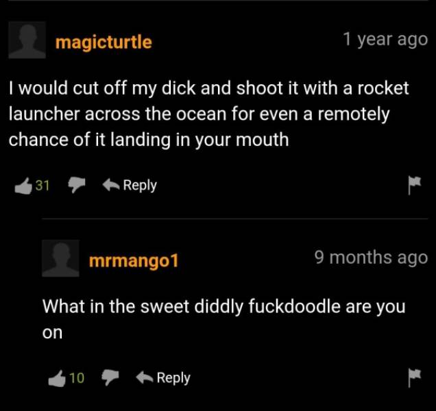 PornHub’s Comments Are Always Wild!