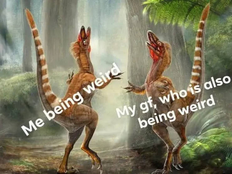 Flirty Memes To Annoy Your Better Half