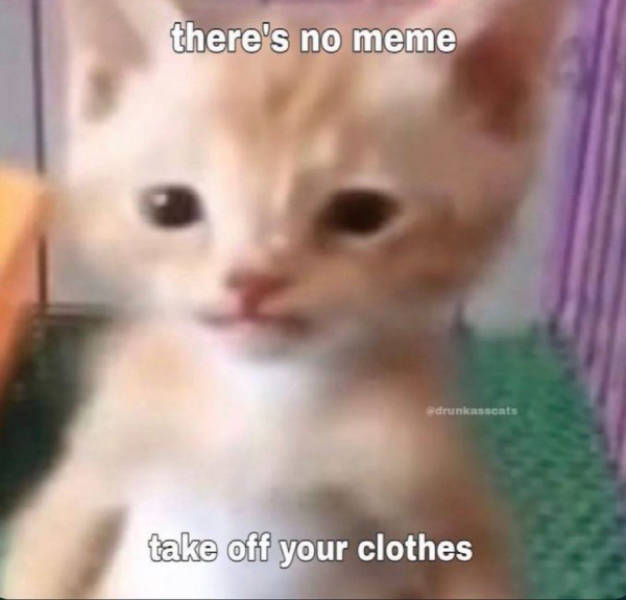 Flirty Memes To Annoy Your Better Half