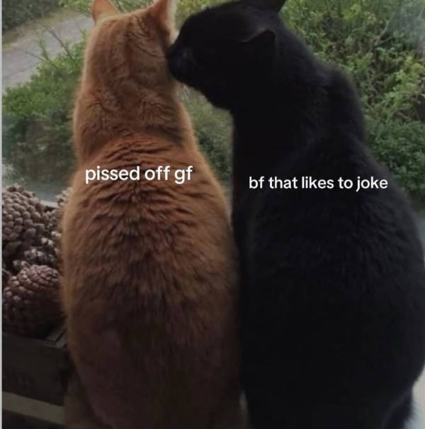 Flirty Memes To Annoy Your Better Half