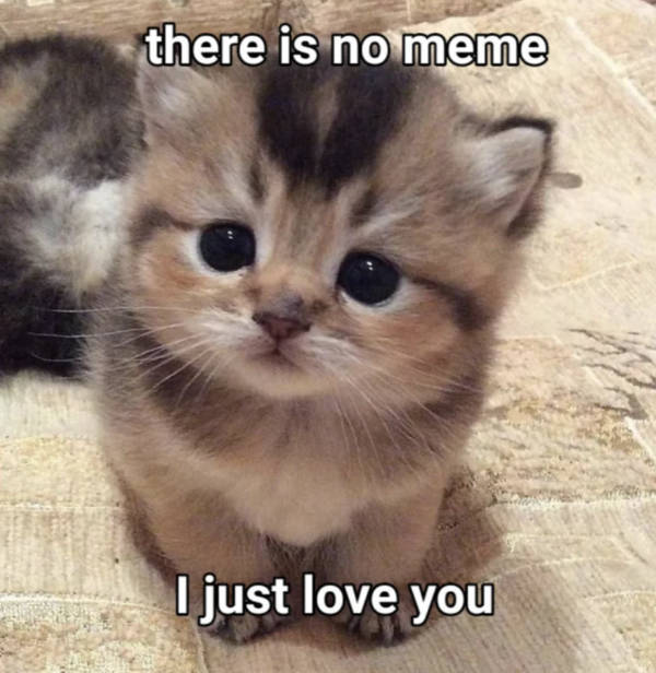 Flirty Memes To Annoy Your Better Half