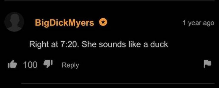 pornhubs comment section is pure unbridled chaos 33 pics 12.html - 33 HD Photos | Premium Gallery 2025