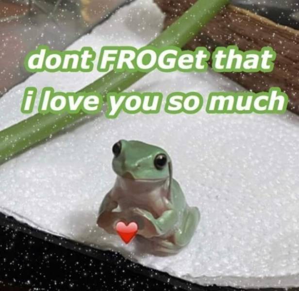 Flirty Memes To Annoy Your Better Half