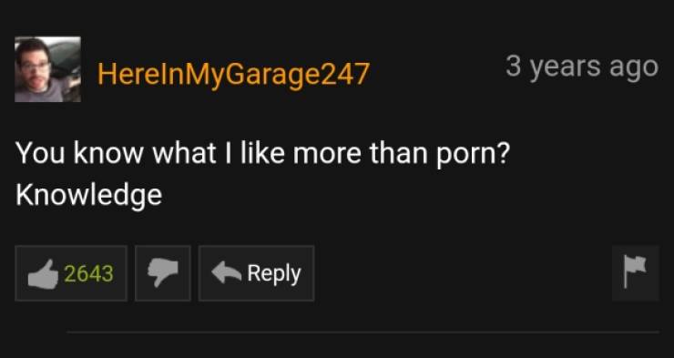 PornHub’s Comments Are Always Wild!