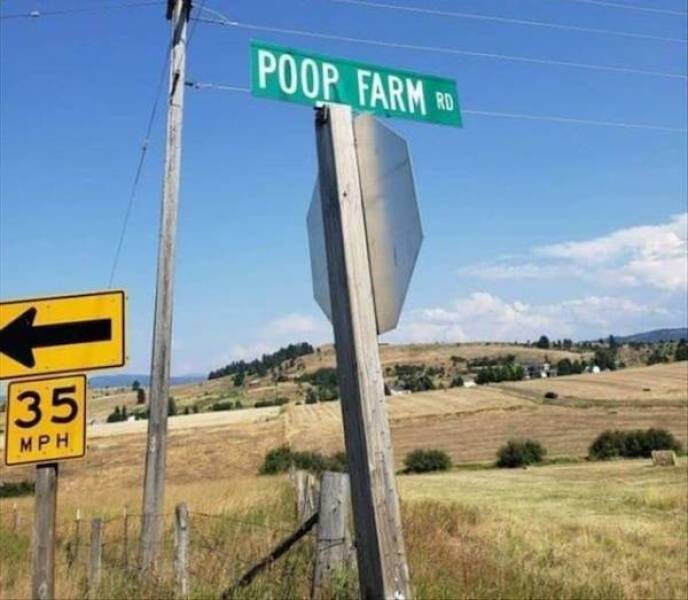 Dirty Dump For Dirty Minds