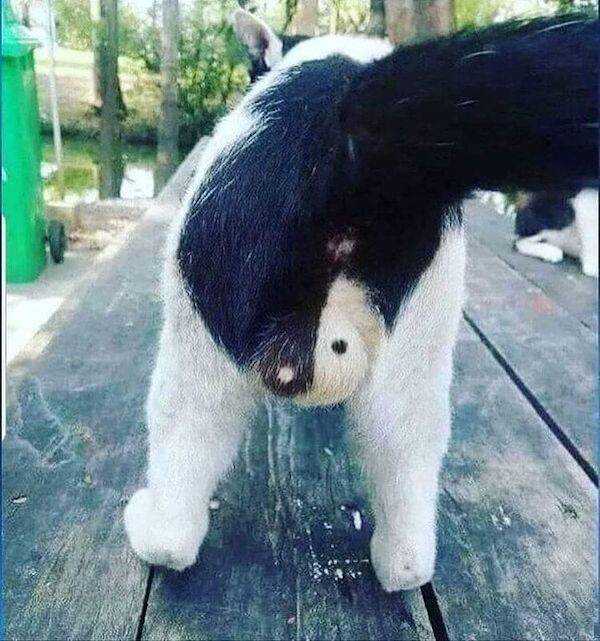 dirty dump for dirty minds 36 pics 17.html - 36 HD Photos | Premium Gallery 2025