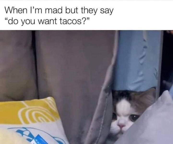 dirty dump for dirty minds 32 pics 1.html - 32 HD Photos | Premium Gallery 2025