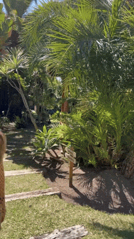 izigirls are waiting for you 14 gifs 3.html - 1 HD GIF | Premium Gallery 2025