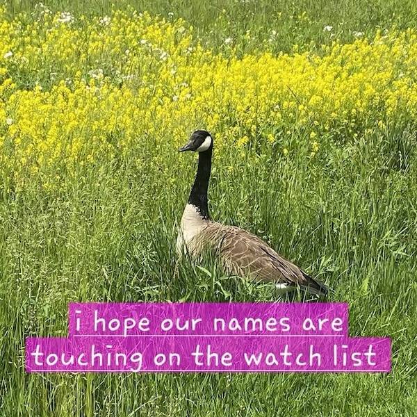 Flirty Memes To Send Your Better Half