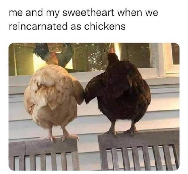 flirty memes to send your better half 33 pics 14.html - 33 HD Photos | Premium Gallery 2025