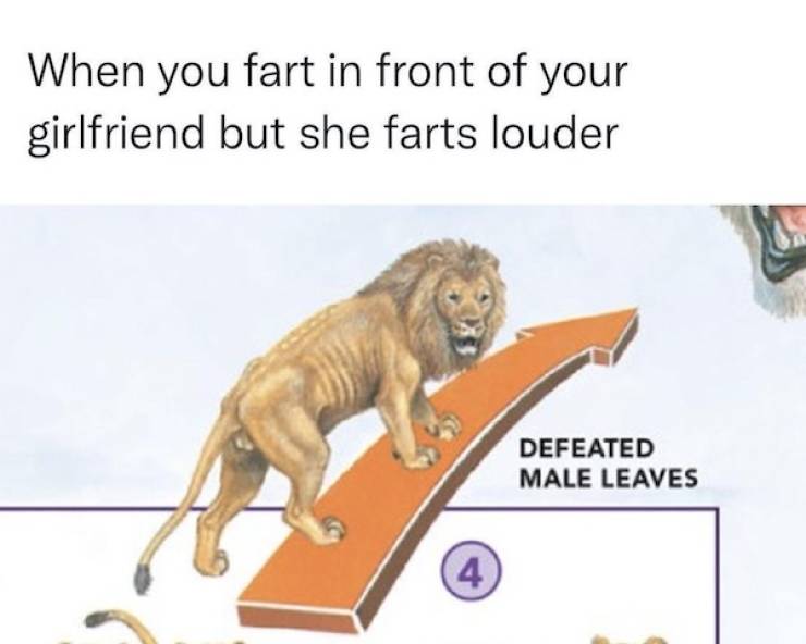 flirty memes to send your better half 33 pics 14.html - 33 HD Photos | Premium Gallery 2025