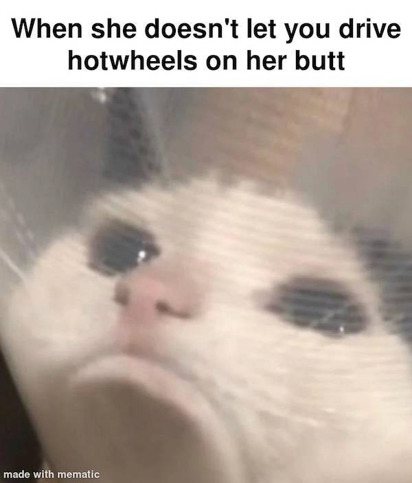 Flirty Memes To Send Your Better Half