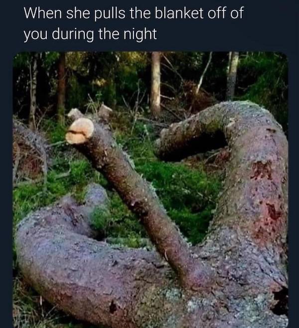 flirty memes to send your better half 33 pics 14.html - 33 HD Photos | Premium Gallery 2025