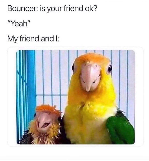 Drinking Never Ends!