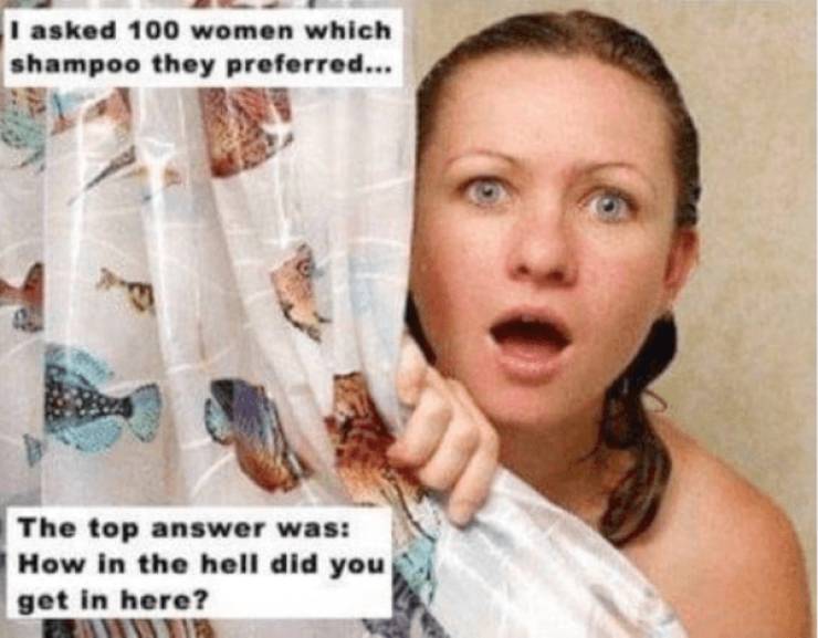 mildly arousing memes 45 pics 11.html - 45 HD Photos | Premium Gallery 2025