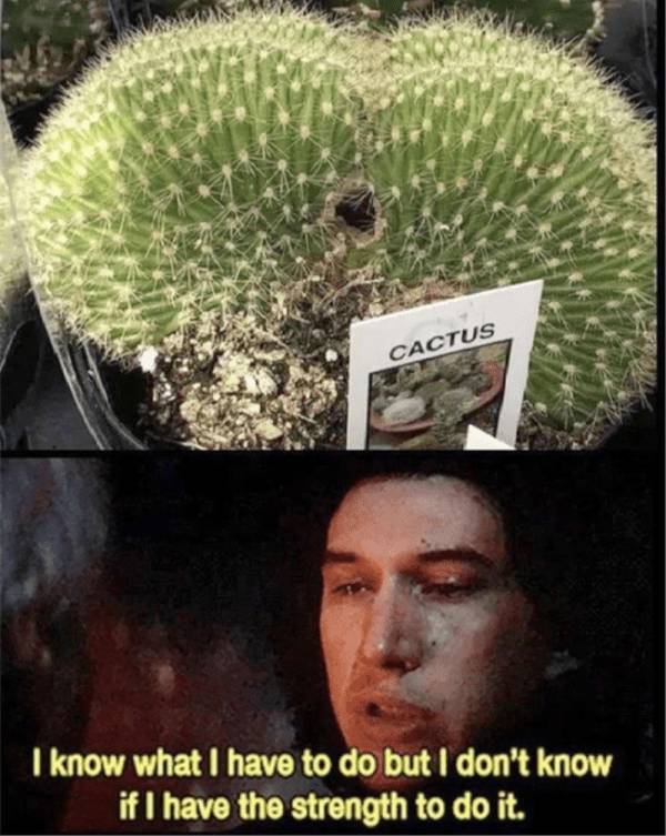 mildly arousing memes 45 pics 11.html - 45 HD Photos | Premium Gallery 2025