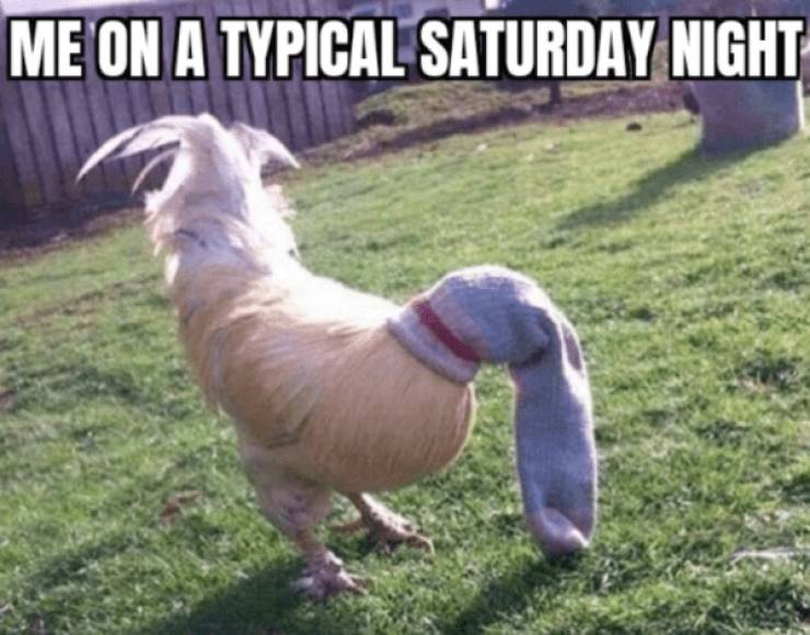 Dirty Dump For Dirty Minds