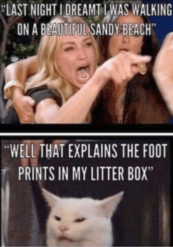 Dirty Dump For Dirty Minds