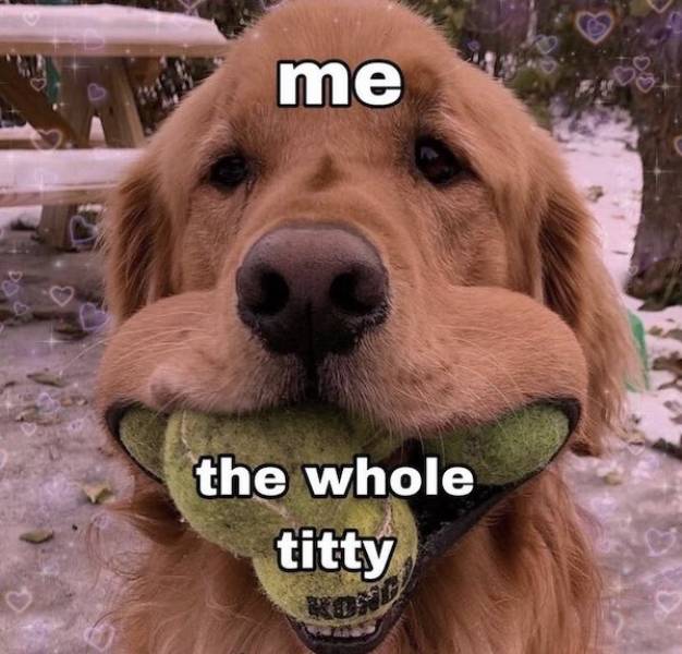 nsfw memes to add some spice to your life 43 pics 22.html - 43 HD Photos | Premium Gallery 2025