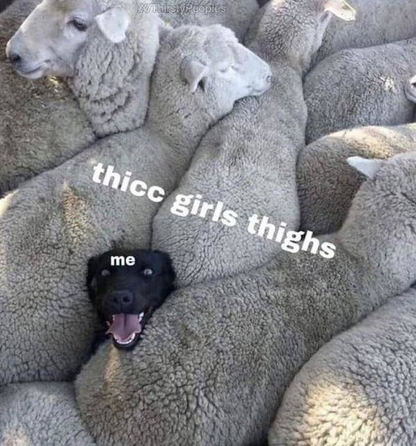 NSFW Memes To Add Some Spice To Your Life