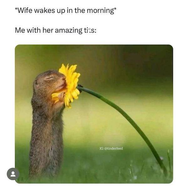 nsfw memes to add some spice to your life 43 pics 22.html - 43 HD Photos | Premium Gallery 2025