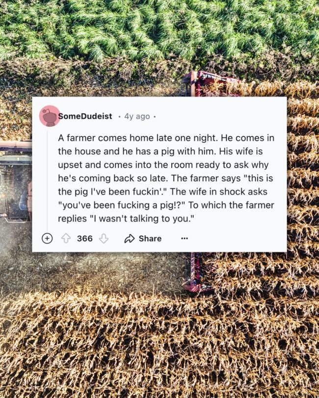 Classic, Dirty, and Snappy Jokes