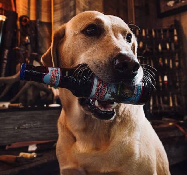 Drinking Never Ends!