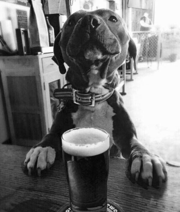 Drinking Never Ends!