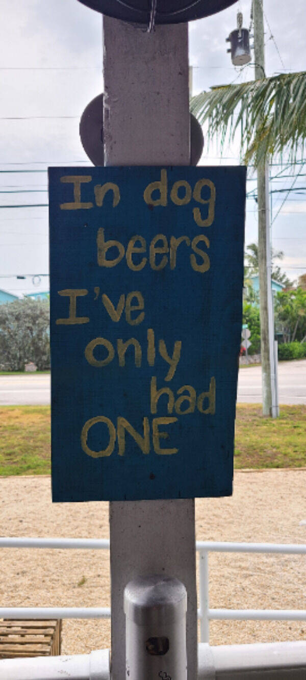 Drinking Never Ends!