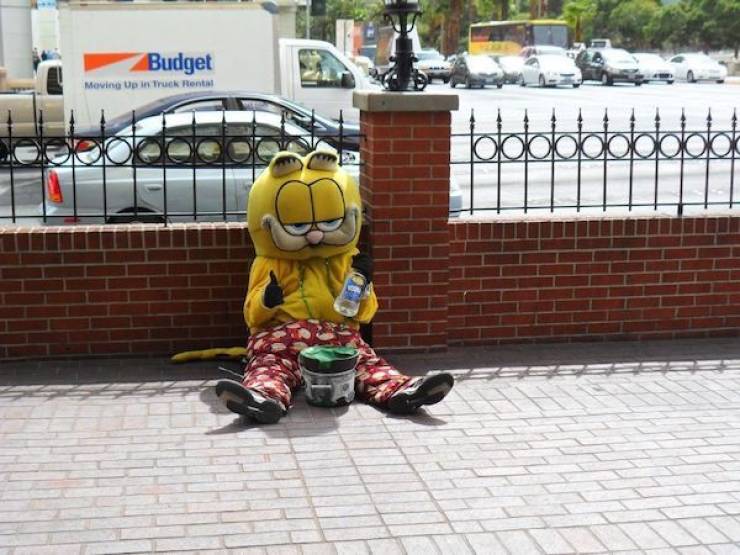 drinking never ends 40 pics 14.html - 40 HD Photos | Premium Gallery 2025