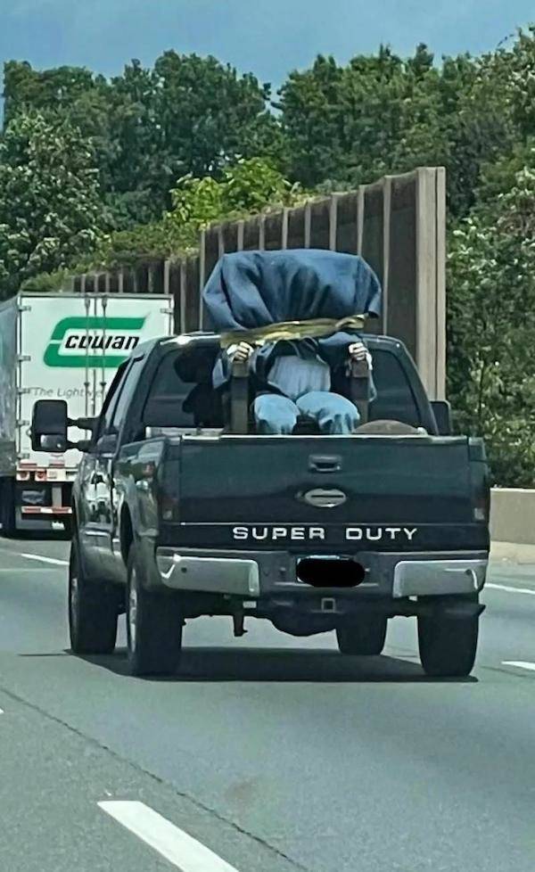 Road Trips Gone Weird