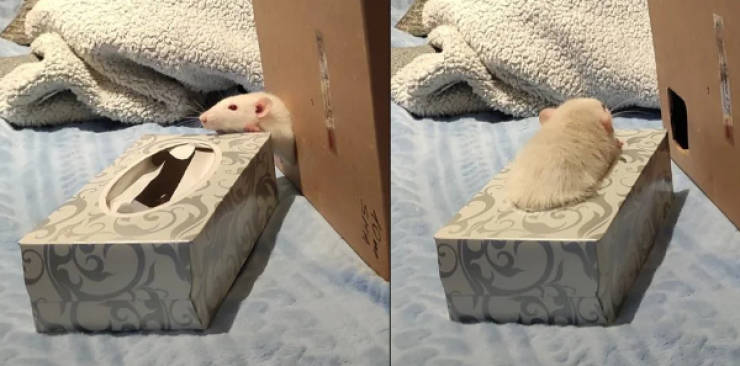 wtf did i just see 52 pics 9.html - 52 HD Photos | Premium Gallery 2026