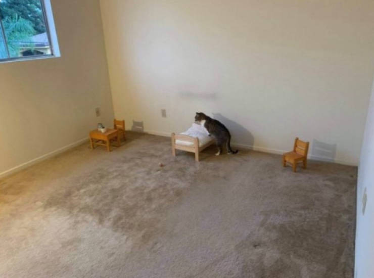 wtf did i just see 52 pics 9.html - 52 HD Photos | Premium Gallery 2026