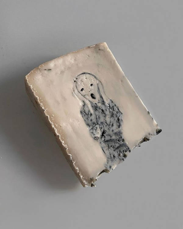 WTF Did I Just See?!