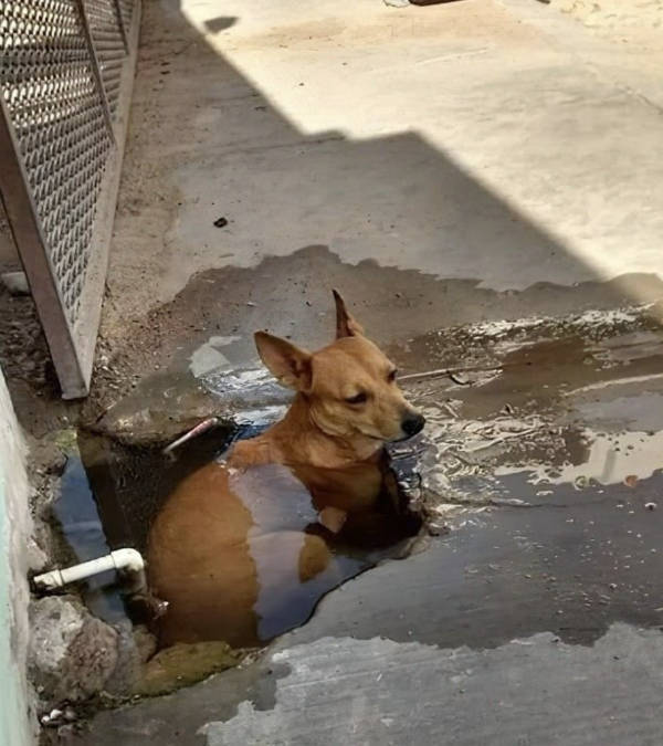 wtf did i just see 52 pics 9.html - 52 HD Photos | Premium Gallery 2026