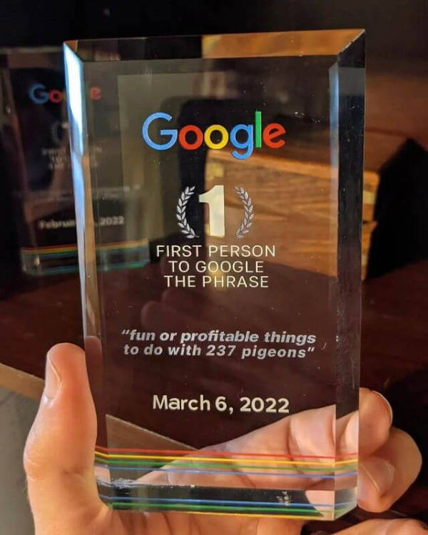 wtf did i just see 52 pics 9.html - 52 HD Photos | Premium Gallery 2026