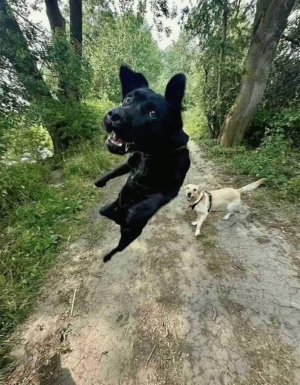 wtf did i just see 52 pics 9.html - 52 HD Photos | Premium Gallery 2026