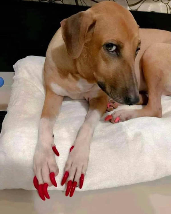 wtf did i just see 52 pics 9.html - 52 HD Photos | Premium Gallery 2026