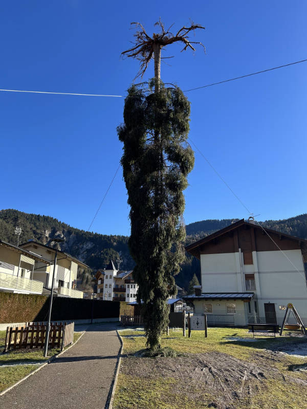 wtf did i just see 52 pics 9.html - 52 HD Photos | Premium Gallery 2026