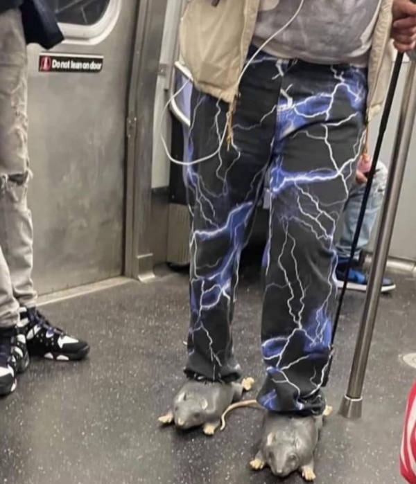 wtf did i just see 52 pics 9.html - 52 HD Photos | Premium Gallery 2026