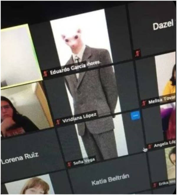 wtf did i just see 52 pics 9.html - 52 HD Photos | Premium Gallery 2026