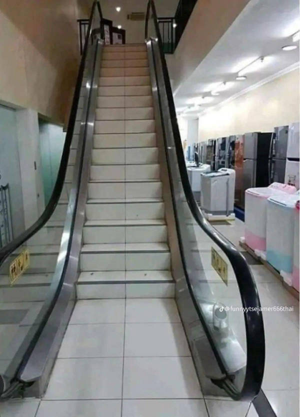 wtf did i just see 52 pics 9.html - 52 HD Photos | Premium Gallery 2026