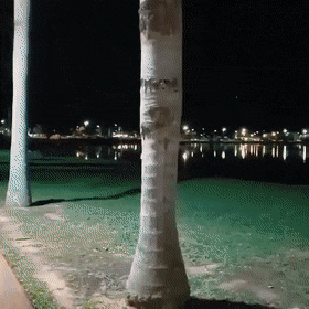 daily gifdump 34 gifs 2.html - 1 HD GIF | Premium Gallery 2026