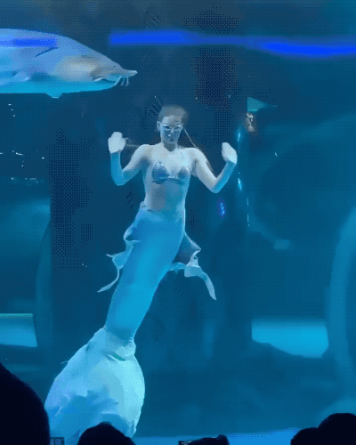 daily gifdump 34 gifs 2.html - 1 HD GIF | Premium Gallery 2026