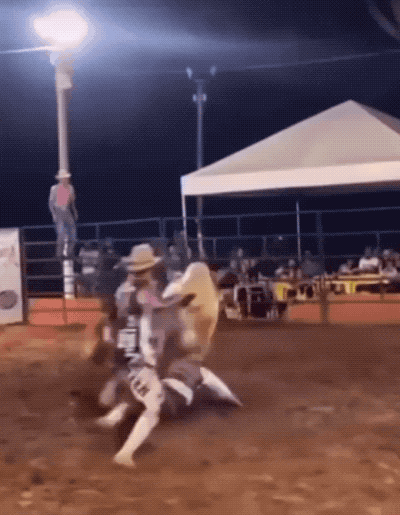 daily gifdump 34 gifs 2.html - 1 HD GIF | Premium Gallery 2026