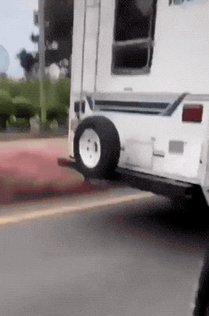 daily gifdump 34 gifs 2.html - 1 HD GIF | Premium Gallery 2026