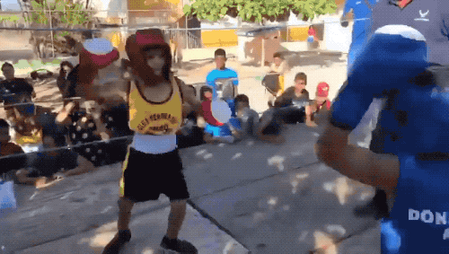 daily gifdump 34 gifs 2.html - 1 HD GIF | Premium Gallery 2026